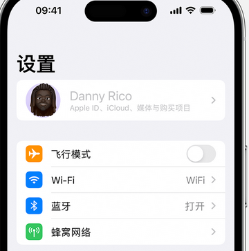 宁陵appleID维修服务iPhone设置中Apple ID显示为灰色无法使用 