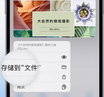 宁陵apple维修中心分享iPhone文件应用中存储和找到下载文件