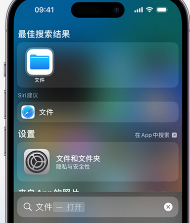 宁陵apple维修中心分享iPhone文件应用中存储和找到下载文件