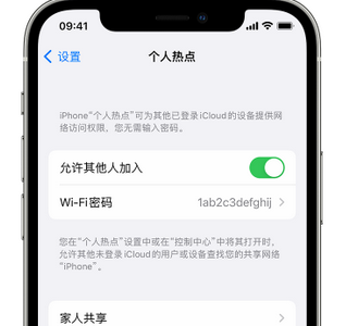 宁陵apple服务站点分享iPhone上个人热点丢失了怎么办 