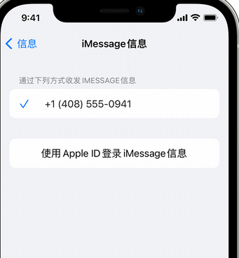 宁陵apple维修iPhone上无法正常发送iMessage信息 