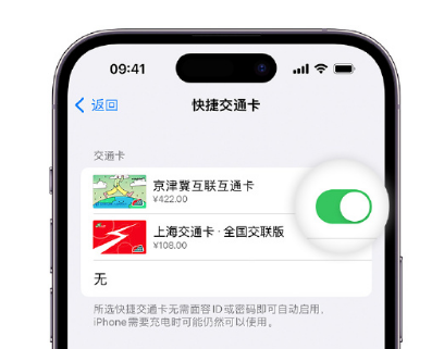 宁陵apple维修点分享iPhone上更换Apple Pay快捷交通卡手绘卡面 