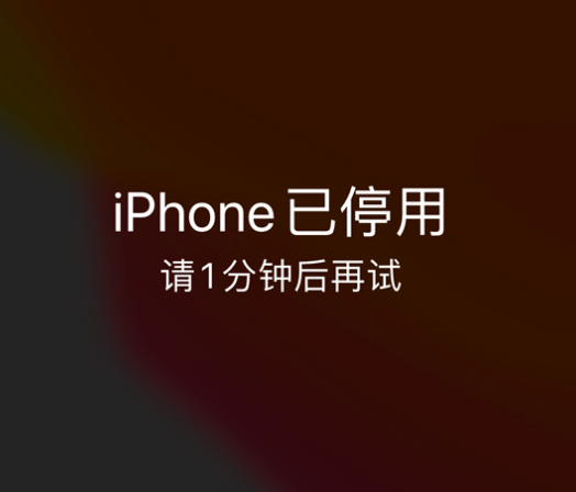 宁陵苹果手机维修分享:iPhone 显示“不可用”或“已停用”怎么办？还能保留数据吗？ 