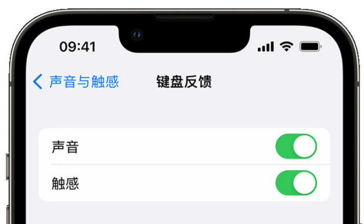 宁陵苹果手机维修分享iPhone 14触感键盘使用方法 