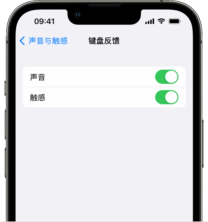 宁陵苹果14维修店分享如何在 iPhone 14 机型中使用触感键盘 