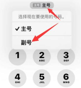 宁陵苹果14维修店分享iPhone 14 Pro Max使用副卡打电话的方法 