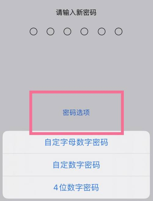 宁陵苹果14维修分享iPhone 14plus设置密码的方法 