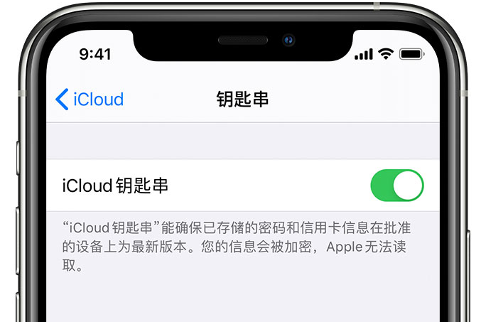 宁陵苹果手机维修分享在 iPhone 上开启 iCloud 钥匙串之后会储存哪些信息 