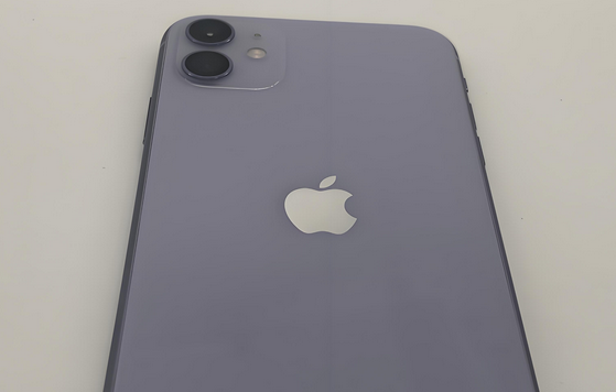 宁陵苹果11系统维修分享iPhone11手机系统崩溃无法开机如何解决