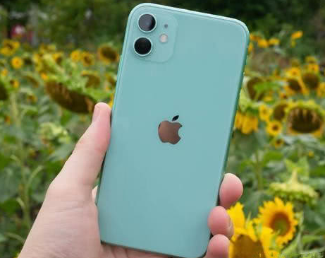 宁陵苹果维修点分享iPhone 11锁屏密码认知与使用科普 
